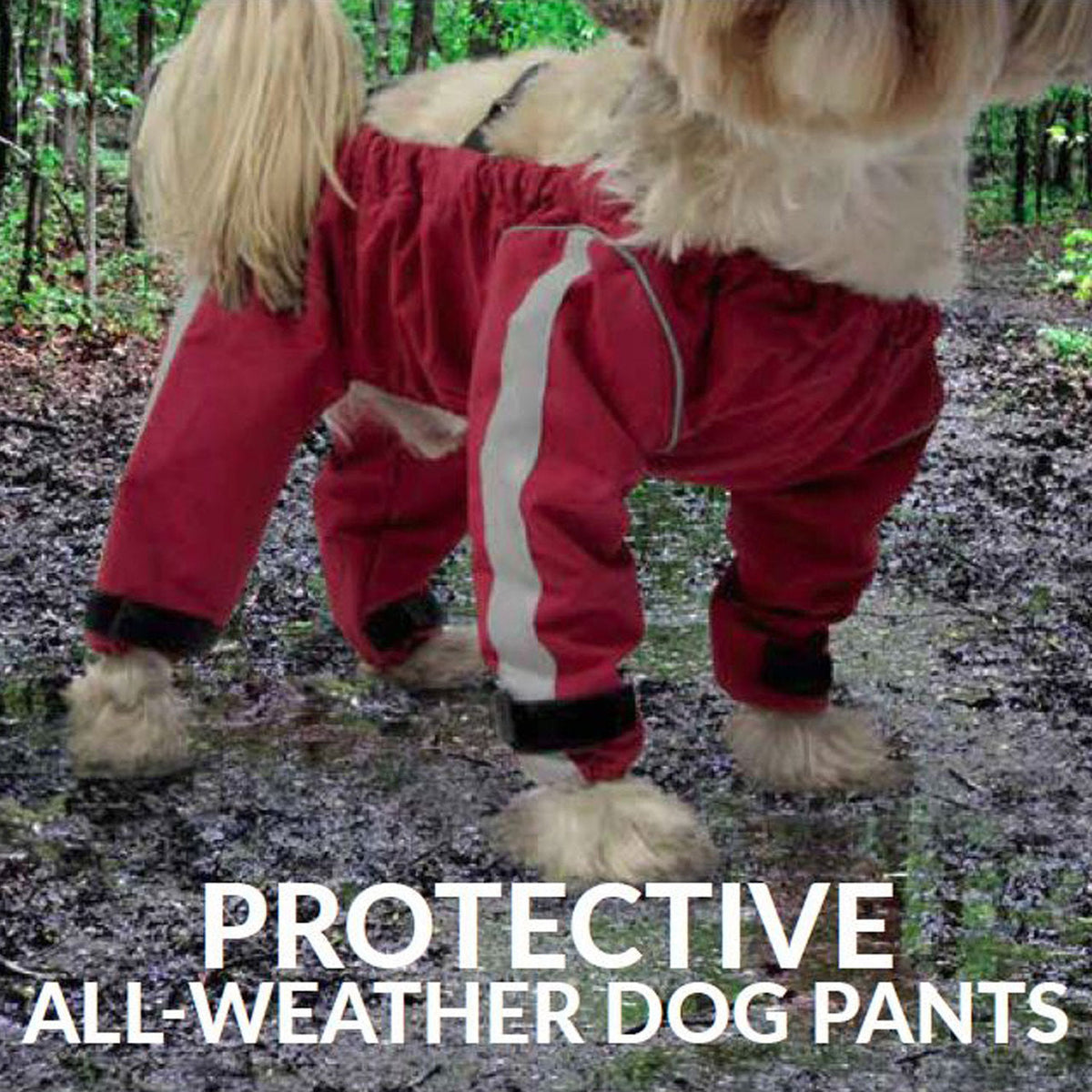 Foufou Dog manteau Pantalon pour chiens Bodyguard - Protective All-Weather