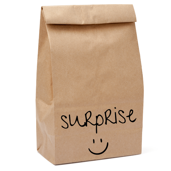 Gift hidden Sac à surprise pour chiens