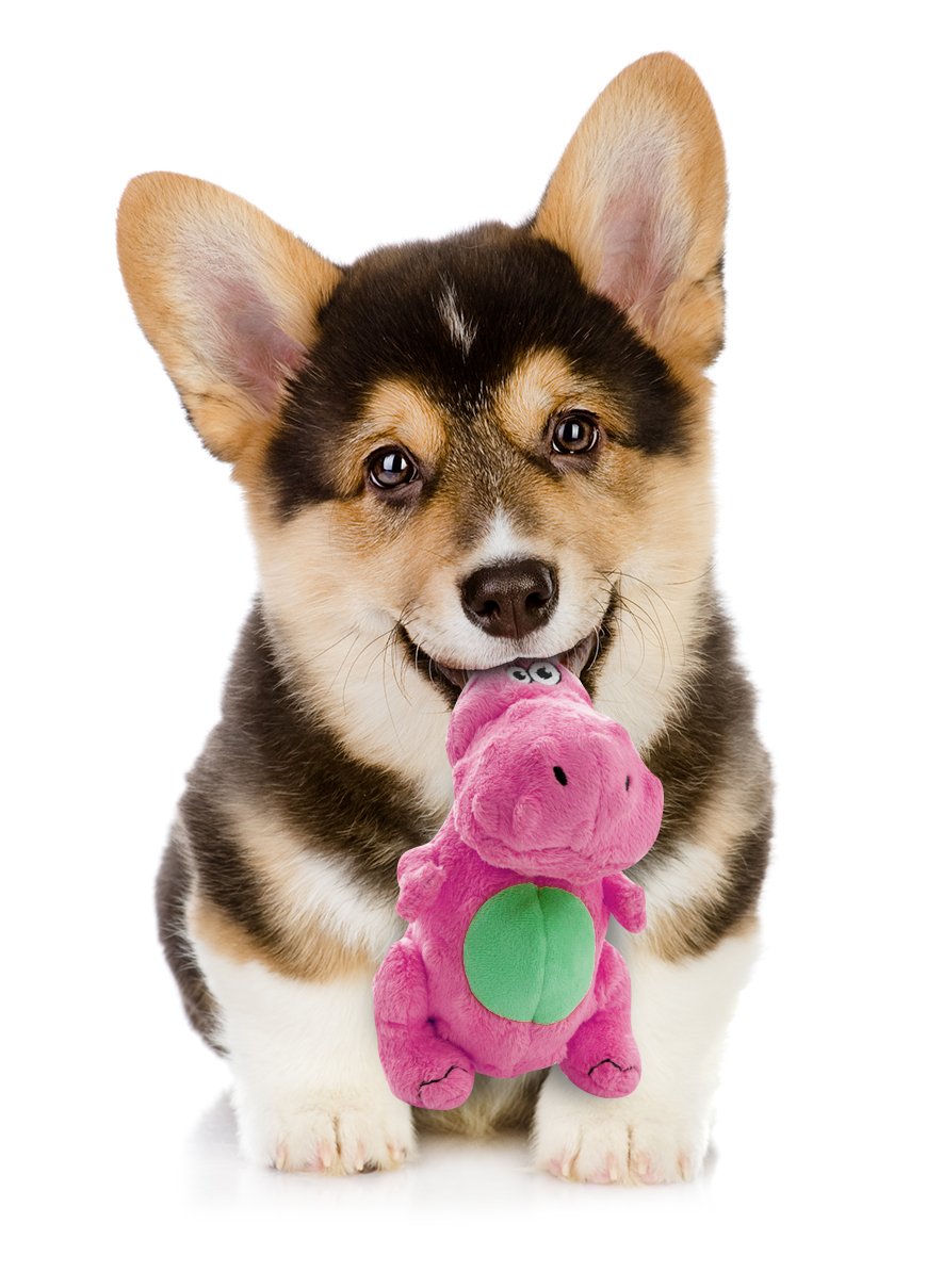 GoDog jouets pour chien Jouet pour chien T-Rex Rose