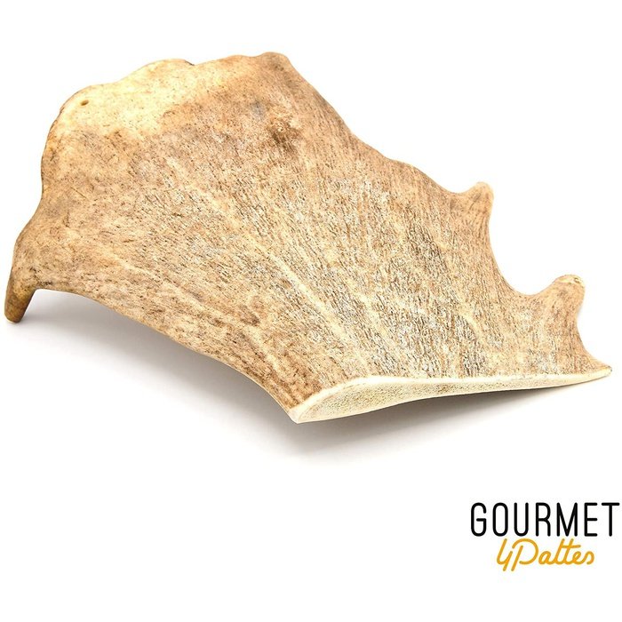 Gourmet 4Pattes os a macher Bois de Daim à mâcher pour chiens