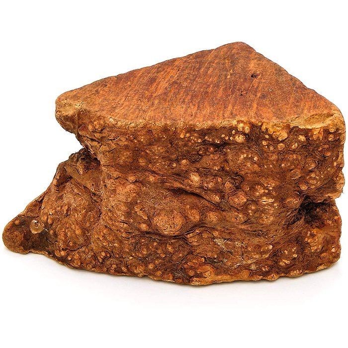 Gourmet 4Pattes Racine de Bruyère Racine de Bruyère à mâcher - 100% Naturel