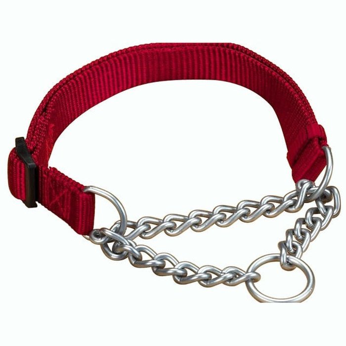 Hamilton lead Collier Martingale