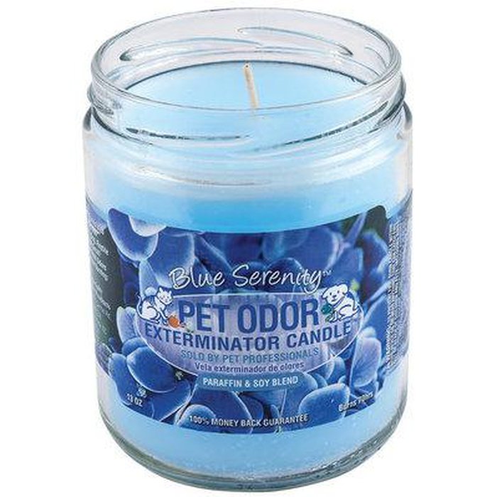 Holly Molly chandelle Blue Serenity Chandelle Pet Odour Exterminator