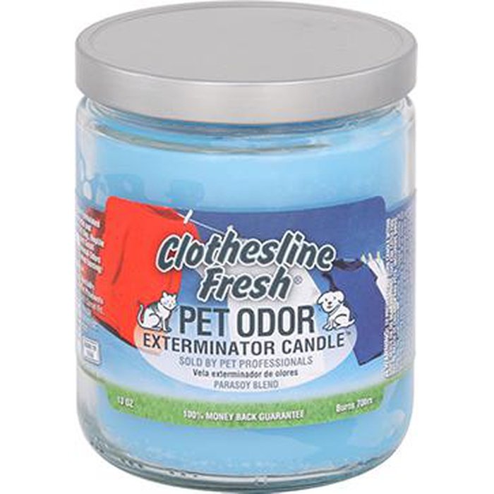 Holly Molly chandelle Chandelle Pet Odour Exterminator
