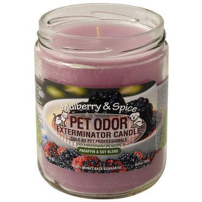 Holly Molly chandelle Mulberry Spice Chandelle Pet Odour Exterminator