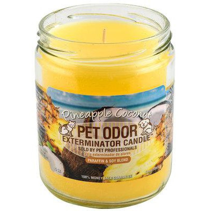 Holly Molly chandelle Pineapple-Coconut Chandelle Pet Odour Exterminator