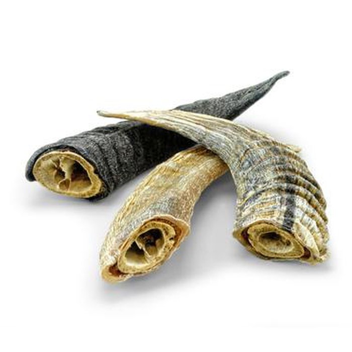 Icelandic+ corne Petite Corne d'agneau avec moelle Icelandic+