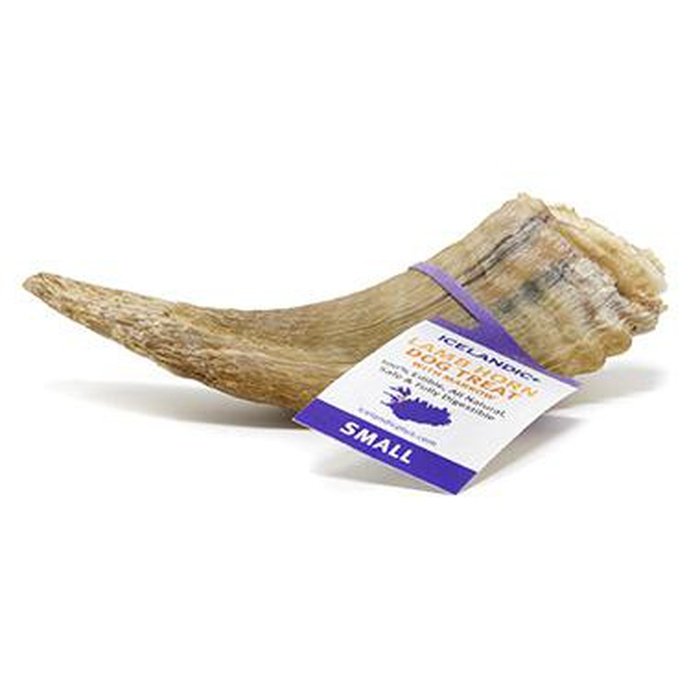 Icelandic+ corne Petite Corne d'agneau avec moelle Icelandic+