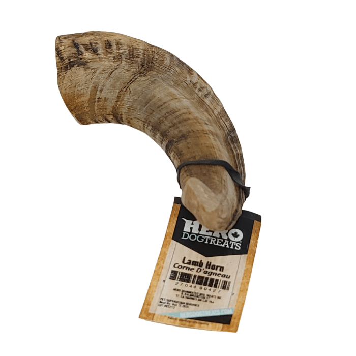 Icelandic+ os a macher Corne d'agneau grand format