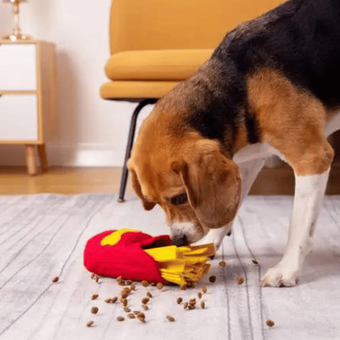 Injoya jouets pour chien Jouet de fouille - Frite
