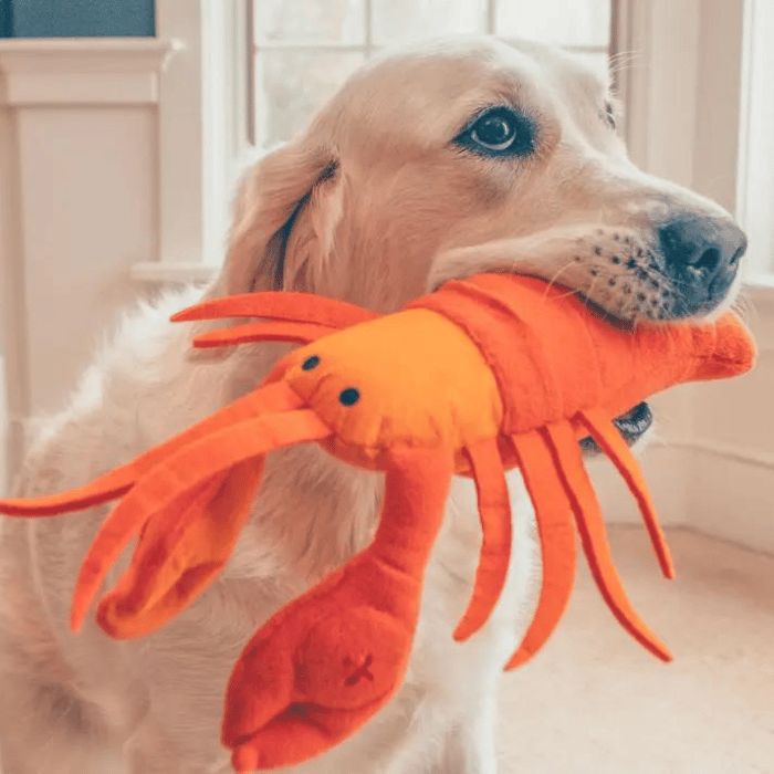 Jouet pour chien homard 