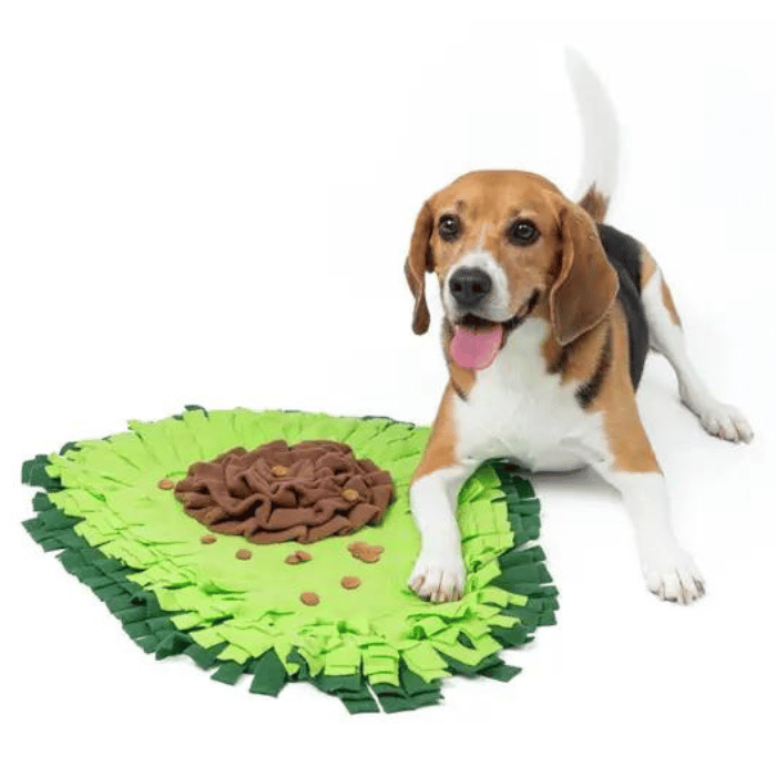 Injoya jouets pour chien Tapis de fouille - Avocat