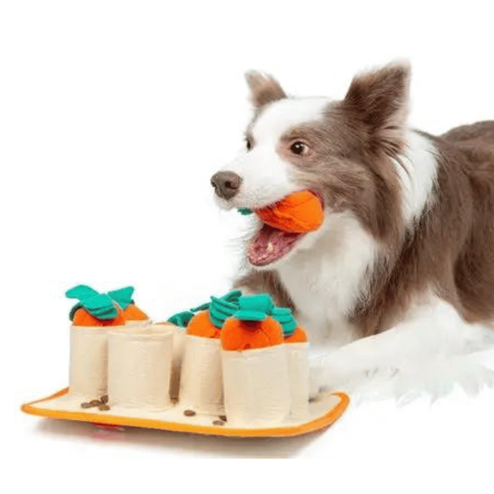 Injoya jouets pour chien Tapis de fouille - Carotte