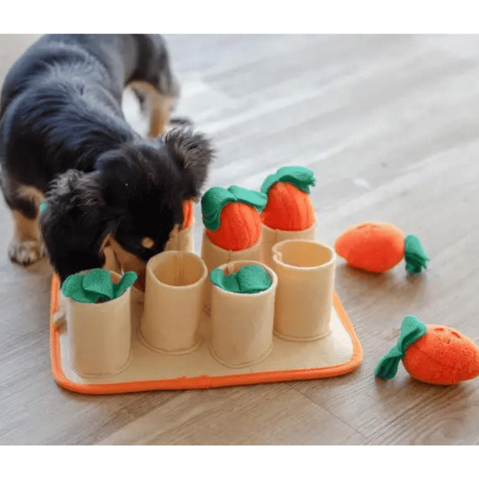 Injoya jouets pour chien Tapis de fouille - Carotte