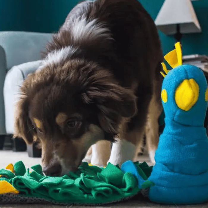 Injoya jouets pour chien Tapis de fouille - Paon