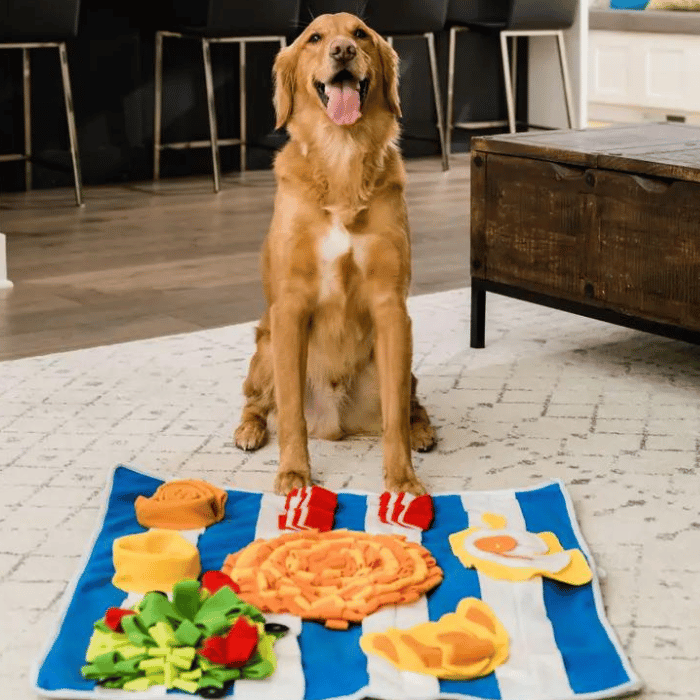 Injoya jouets pour chien Tapis de fouille - Petit déjeuner