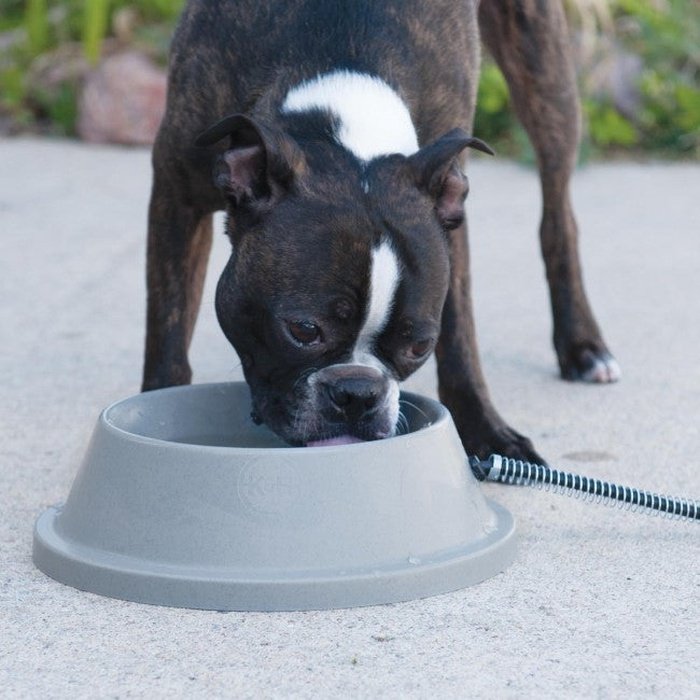 k&h bols pour chien Bol d'eau chauffant pour chiens
