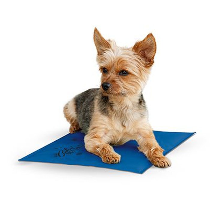 k&h lit Cooling Gel Pad pour chien