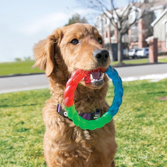 kong jouet Jouets pour chiens Kong Twist Ring