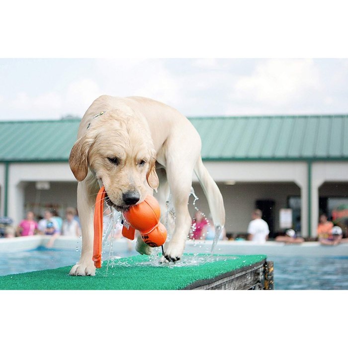 kong jouets pour chien Jouet Flottant Kong Wet Wubba