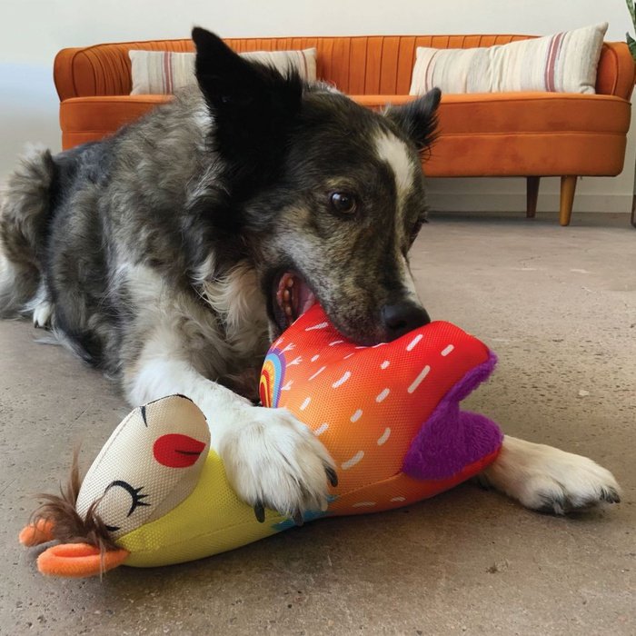 kong jouets pour chien Jouet Kong Ballistic Vibez Lama - Assortis