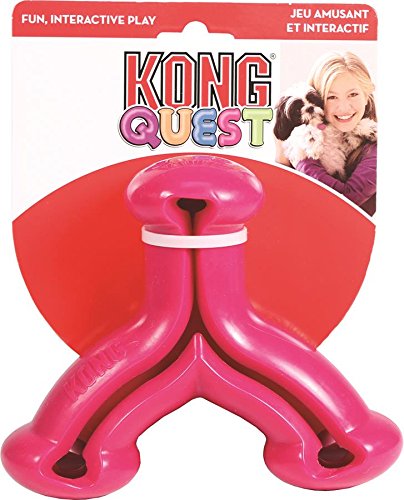 kong jouets pour chien Jouet pour chien Kong Quest Wishbone