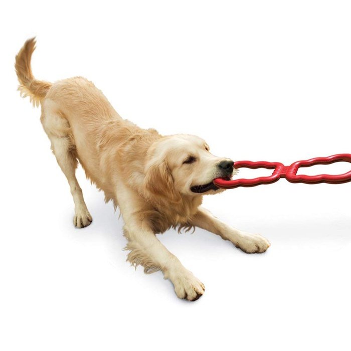 kong jouets pour chien Jouet pour chien Kong Tug
