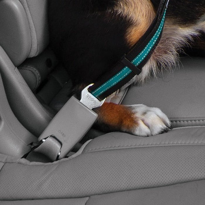 Kurgo accessoire Attache de ceinture de sécurité pivotante