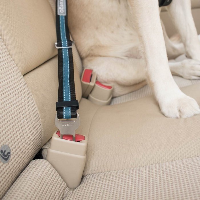 Kurgo bol de voyage Attache ceinture de sécurité Kurgo Direct To Seat Belt