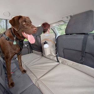 Ceinture de sécurité pour chien - Sherbrooke Canin