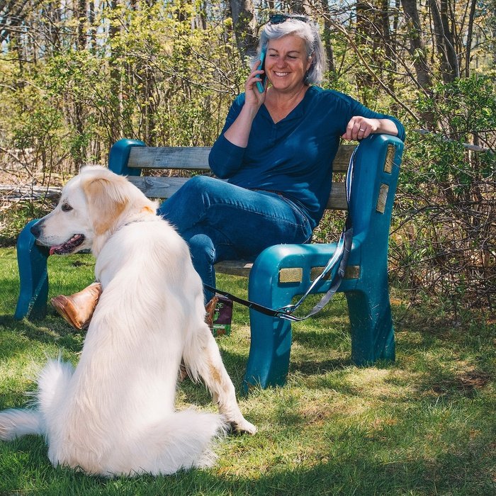 Kurgo Laisse Laisse 6 en 1 Kurgo Quantum