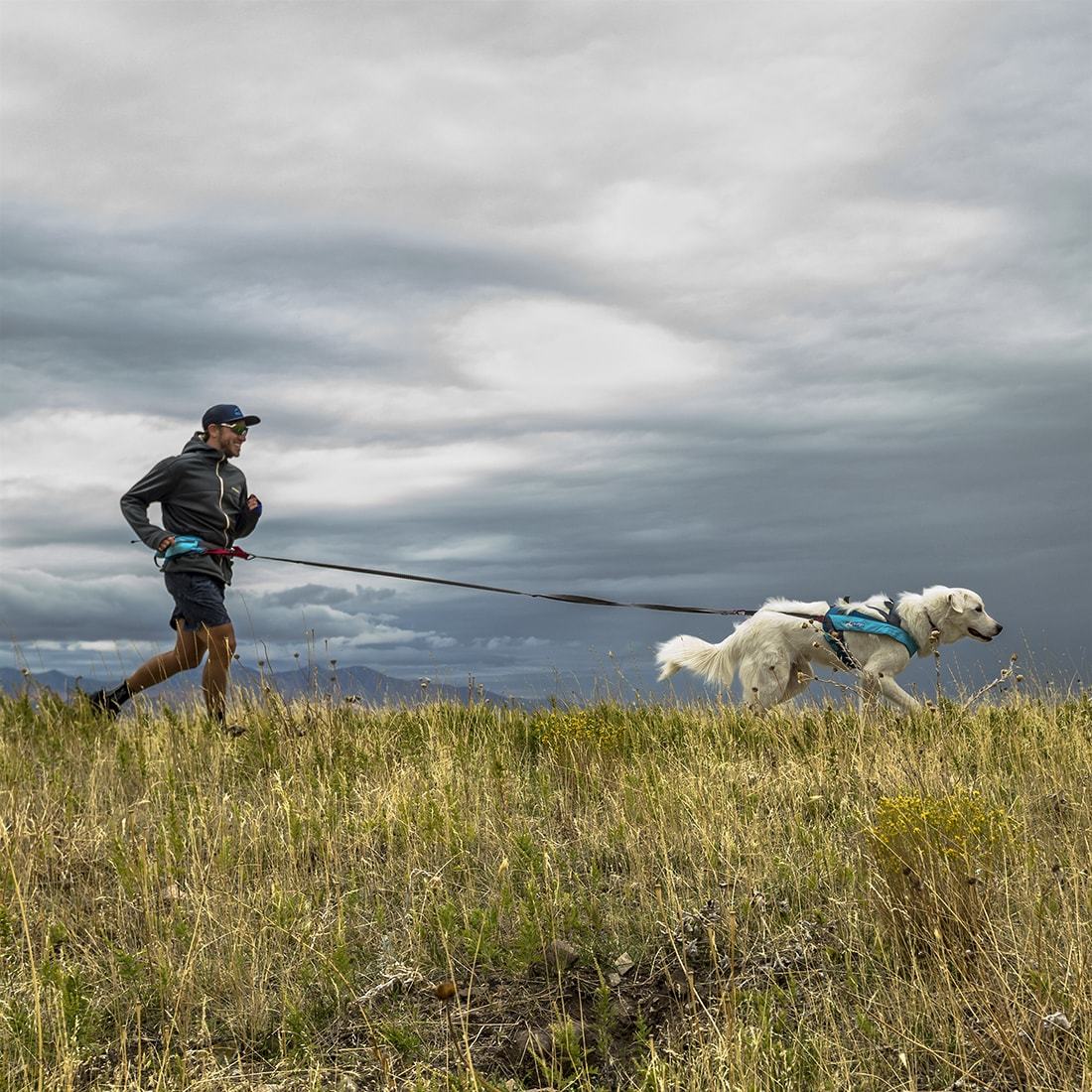 Kurgo Laisse Longe de traction Kurgo Long Hauler Towline