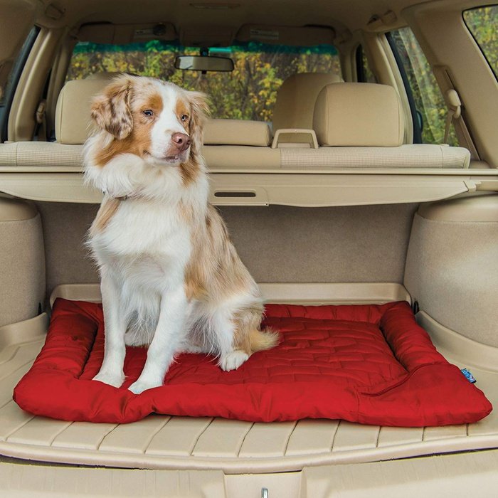 Kurgo lit Lit de voyage pour chien