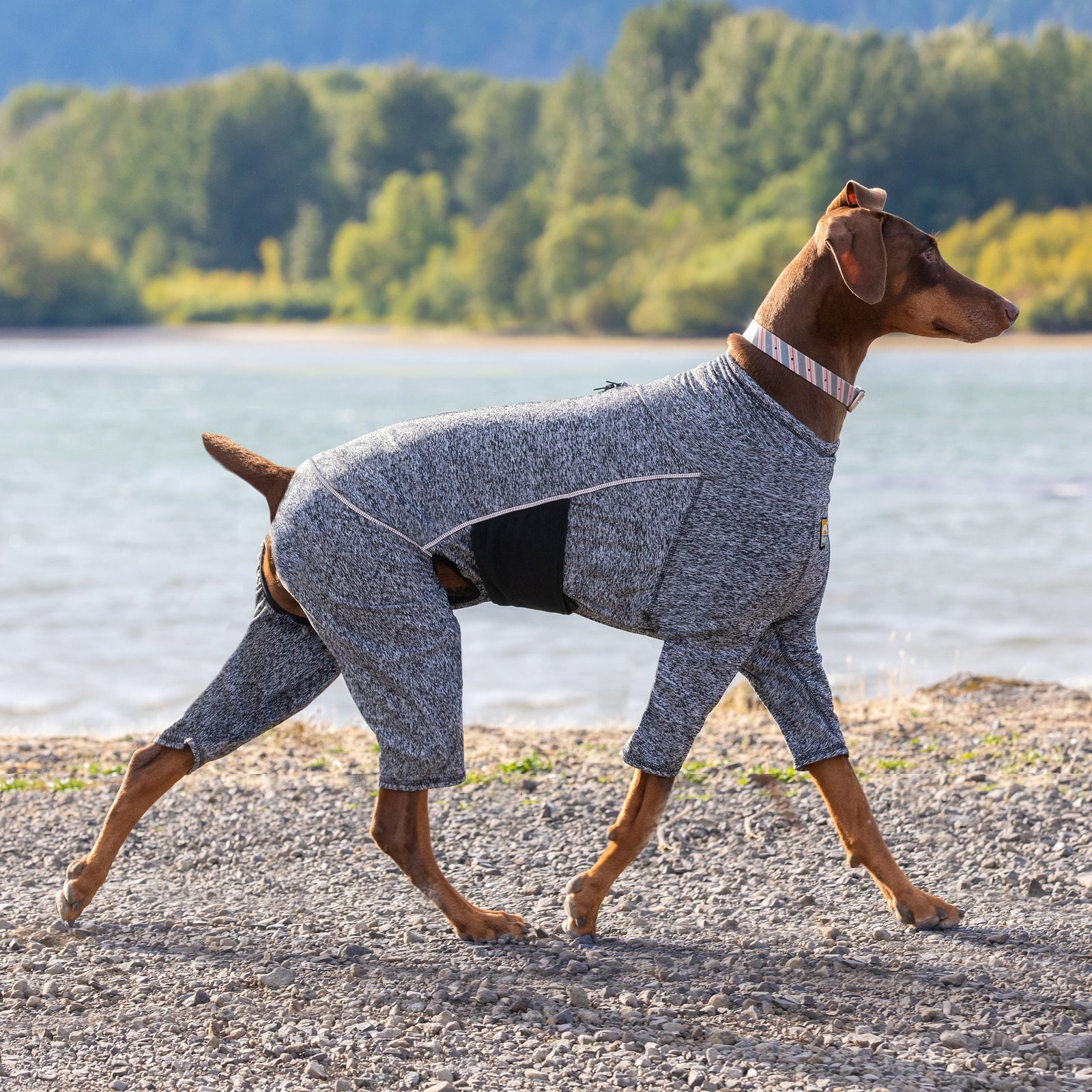 Kurgo manteau Couche de base Kurgo Stowe