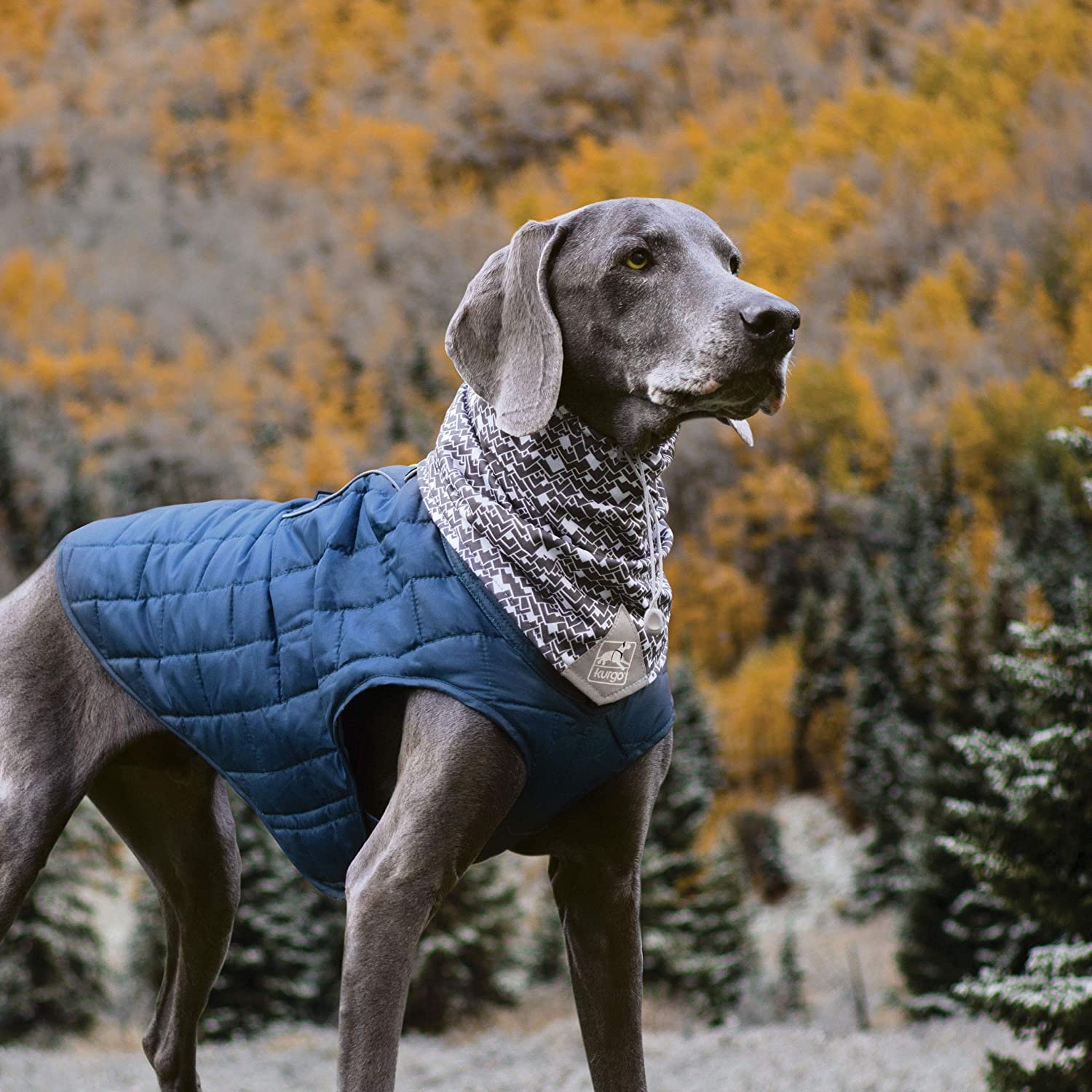 Kurgo manteau Foulard pour chien Kurgo Scruff