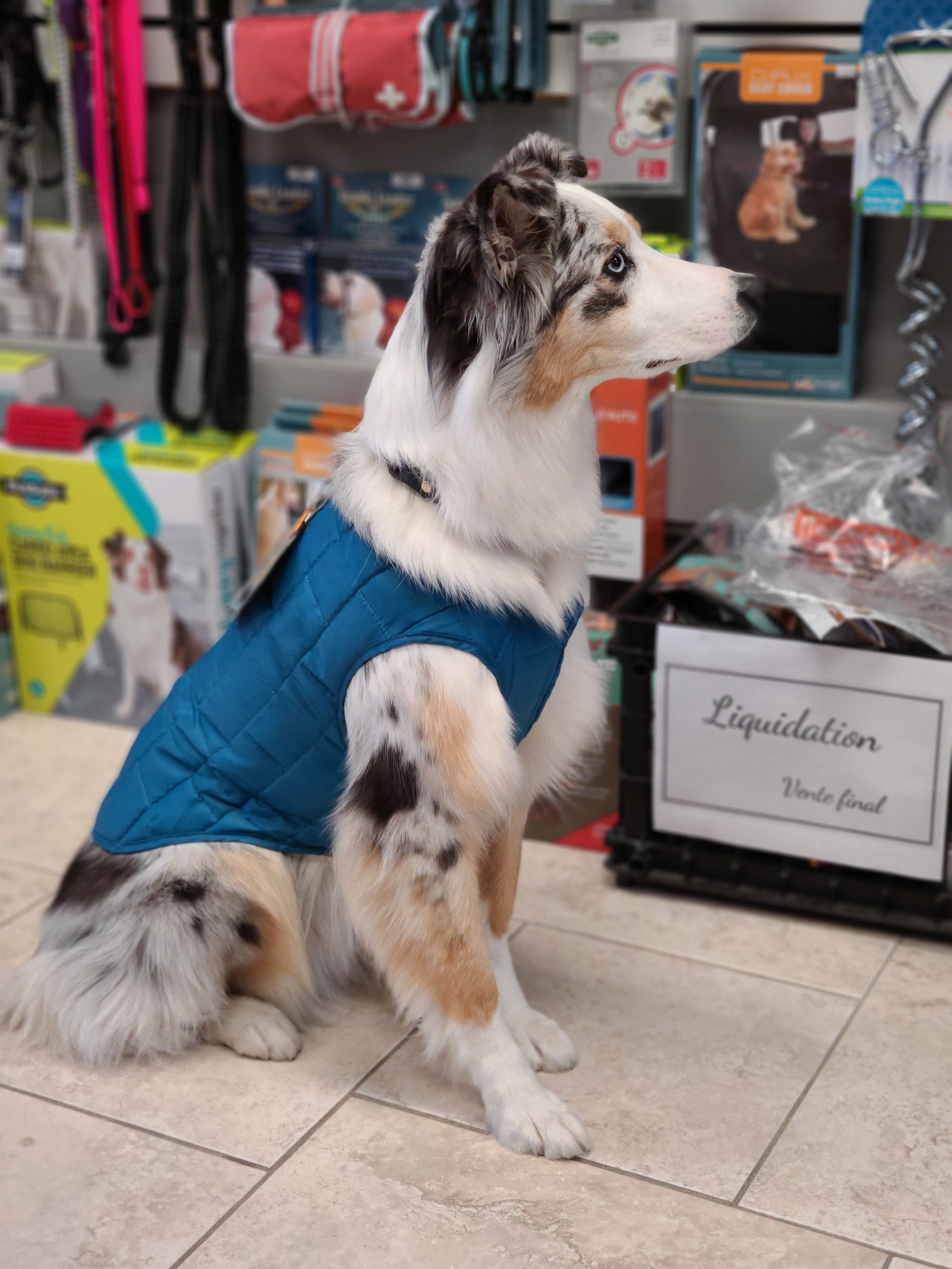 Kurgo Loft Reversible Dog Coat Multiple Colors Available