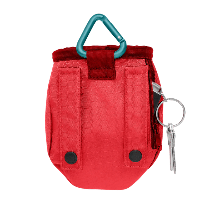 Kurgo Pochette à gâteries Kurgo Go Stuff It Dog