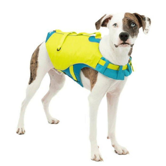 Kurgo sales humble leash