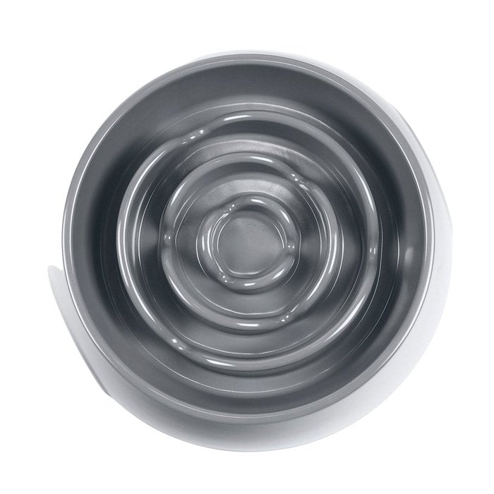 Messy Mutts bols pour chien Bleu Bol ralentisseur pour chien 3 tasses