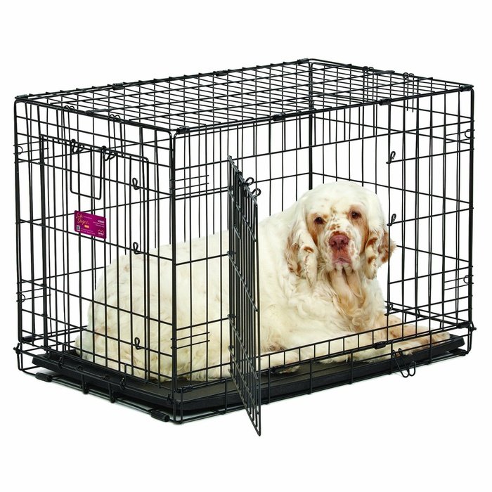 Cage de transport pour chien 1 x 0,50 x 0,50 m porte de face