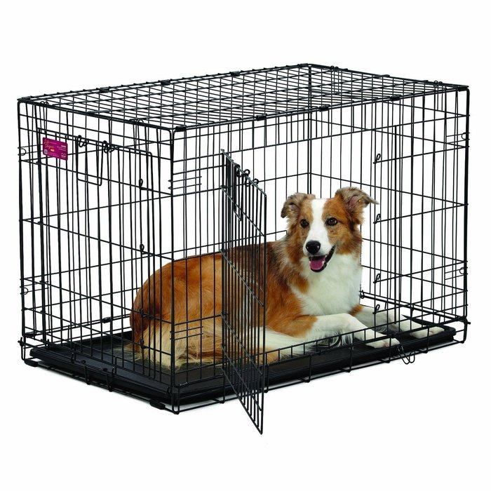 Cage pour chien en bois avec panneau avant en acrylique et porte