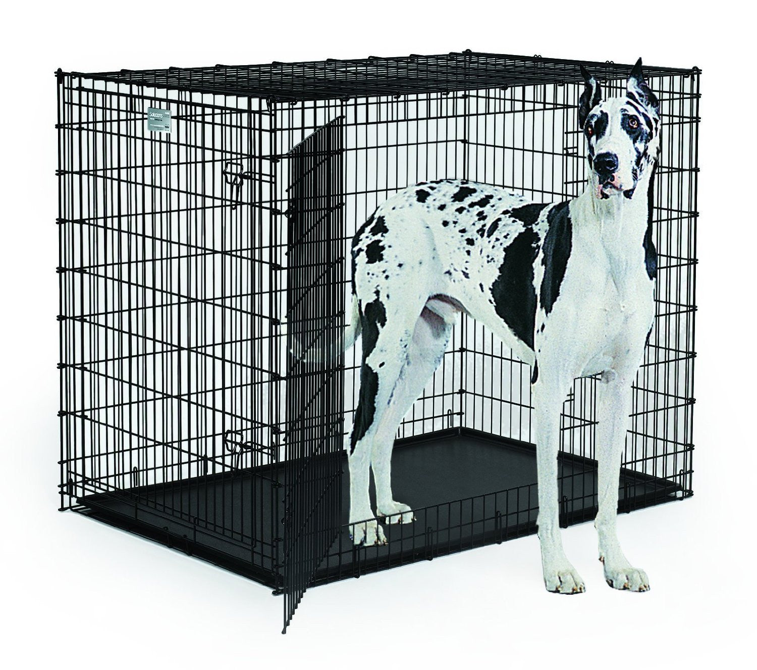 cage 54'' pour tres grand chien