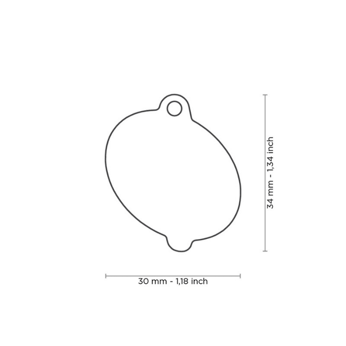 MyFamily medaille Médaille pour chiens - Beigne