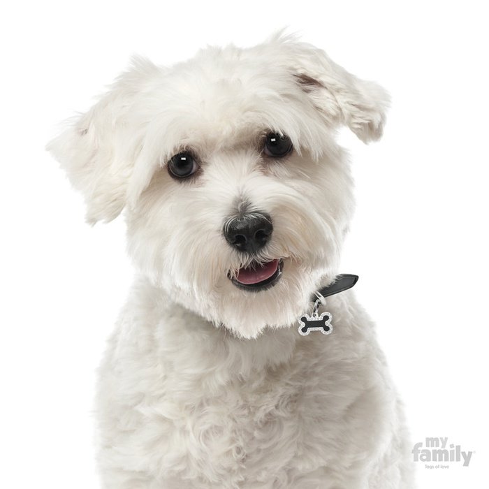 MyFamily medaille Médaille pour chiens - Collection Glam Petit Os Noir Strass