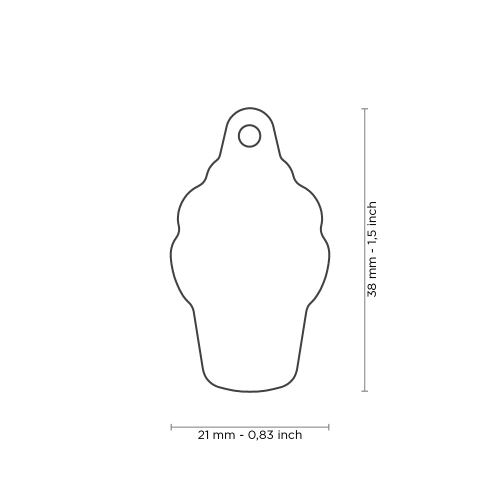 MyFamily medaille Médaille pour chiens - Cornet de crème glacée