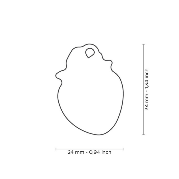 MyFamily medaille Médaille pour chiens - Fraise