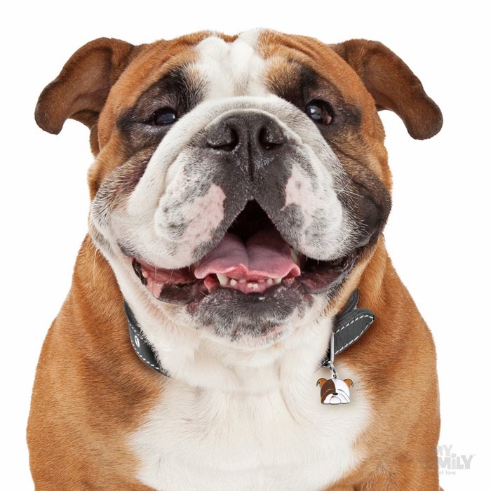 MyFamily medaille Médaille pour chiens - Friends Bulldog Angais