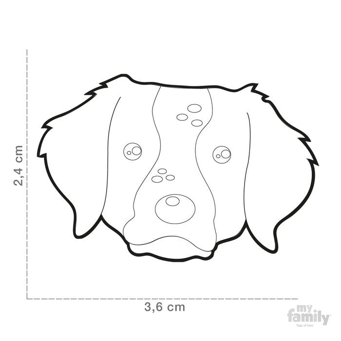 MyFamily medaille Médaille pour chiens - Friends Épagneul Breton