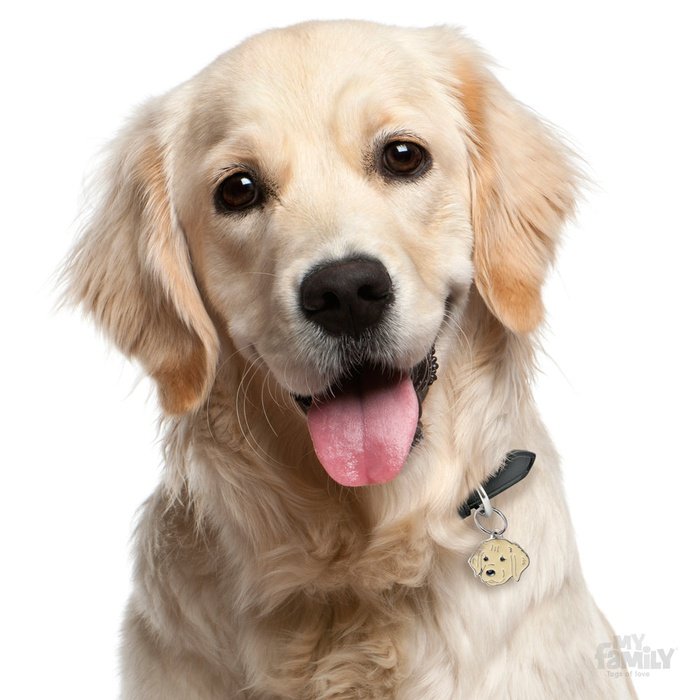 MyFamily medaille Médaille pour chiens - Friends Golden Retriever