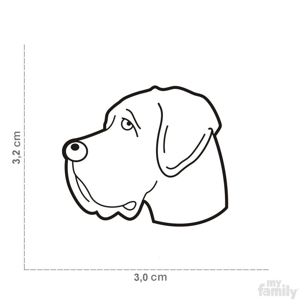 MyFamily medaille Médaille pour chiens - Friends Grand Danois